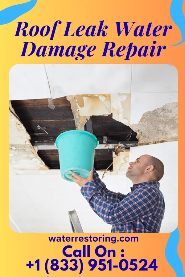 Roof Leak Water Damage Repair in Jardine, MT