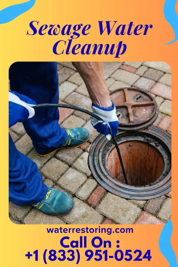 Sewage Water Cleanup in Jardine, MT